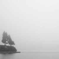 Foggy Coast 1 Fine Art Print