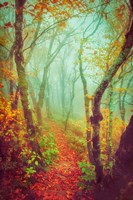 Fairytale Fall Pathway Fine Art Print