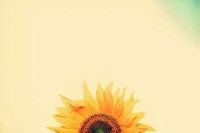 Sunflower Sunrise Fine Art Print