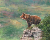 European Brown Bear Fine Art Print