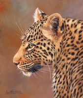 Leopard Looking Left Fine Art Print