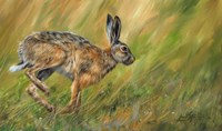 Hare Running Fine Art Print