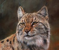 Eurasian Lynx Fine Art Print