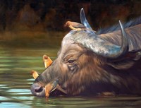 Buffalo And Oxpeckers Fine Art Print