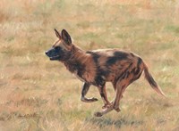 African Wild Dog Running Fine Art Print