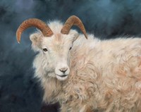 Mountain Goat 2 Fine Art Print