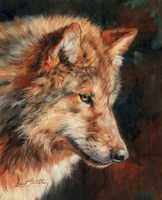 Grey Wolf Portrait Fine Art Print