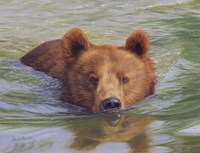 Brown Bear In Water Fine Art Print