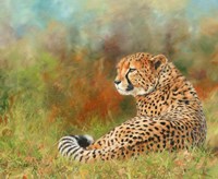 Cheetah Grass Fine Art Print