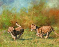 Lion Cubs Running Fine Art Print