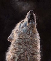 White Wolf Fine Art Print