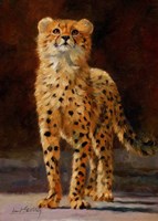 Cheetah Cub Fine Art Print