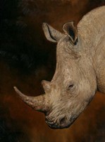 Rhino 2 Fine Art Print