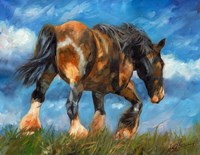 Shire Horse End Of The Day Fine Art Print