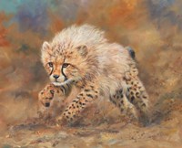 Cheetah Dust Final Fine Art Print