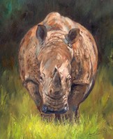 Rhino Straight On Fine Art Print