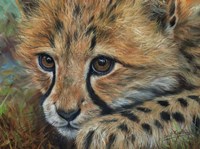 Cheetah Cub Close Fine Art Print