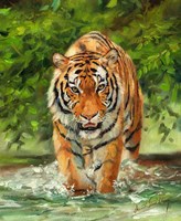 Tiger On The Prowl Fine Art Print