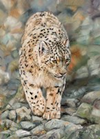 Snow Leopard Stroll Fine Art Print