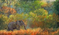 Elephant Trees Framed Print