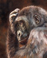 Gorilla Contemplating Fine Art Print