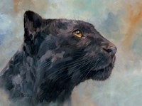 Panther Gaze Up Fine Art Print