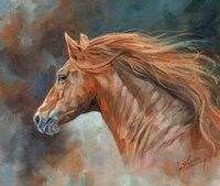 Stallion Fine Art Print