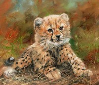 Cheetah Cub Laying Down Fine Art Print