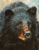 Black Bear Fine Art Print