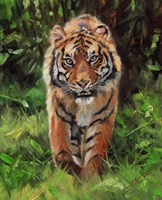 Tiger Prowling Fine Art Print
