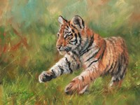 Tiger Cub Running Fine Art Print