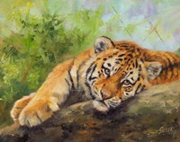 Tiger Cub Rock Fine Art Print