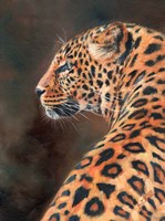 Leopard Profile From Back Fine Art Print