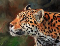 Jaguar Fine Art Print