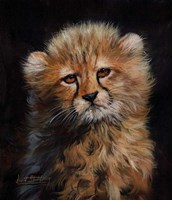 Cheetah Cub Fine Art Print