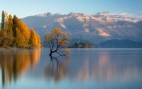 Wanaka Fine Art Print