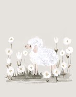 Lamb Fine Art Print