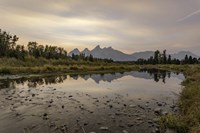 Teton Schwabacher Sunset Fine Art Print