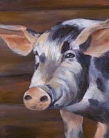 Barn Pig Fine Art Print