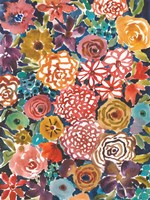 Petal Play III Framed Print