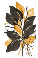 Amber Black and Gold II Fine Art Print