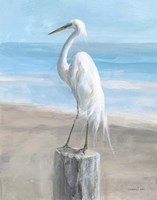 Egret by the Sea Fine Art Print