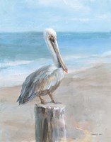 Pelican by the Sea Framed Print