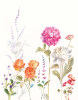 Picket Fence Flowers II Fine Art Print