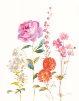 Picket Fence Flowers I Fine Art Print