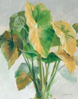 Greenhouse Palm I Teal and Gold Crop Fine Art Print