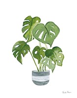 Green House Plants II Fine Art Print