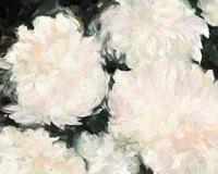 Blushing Summer I on Black Fine Art Print