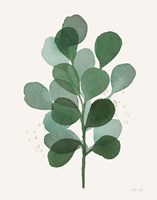 Leaf and Stem V Fine Art Print