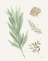 Leaf and Stem I Fine Art Print